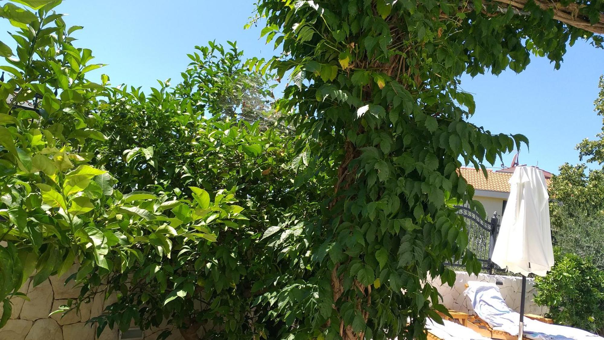 Villa Mira טרוגיר חדר תמונה