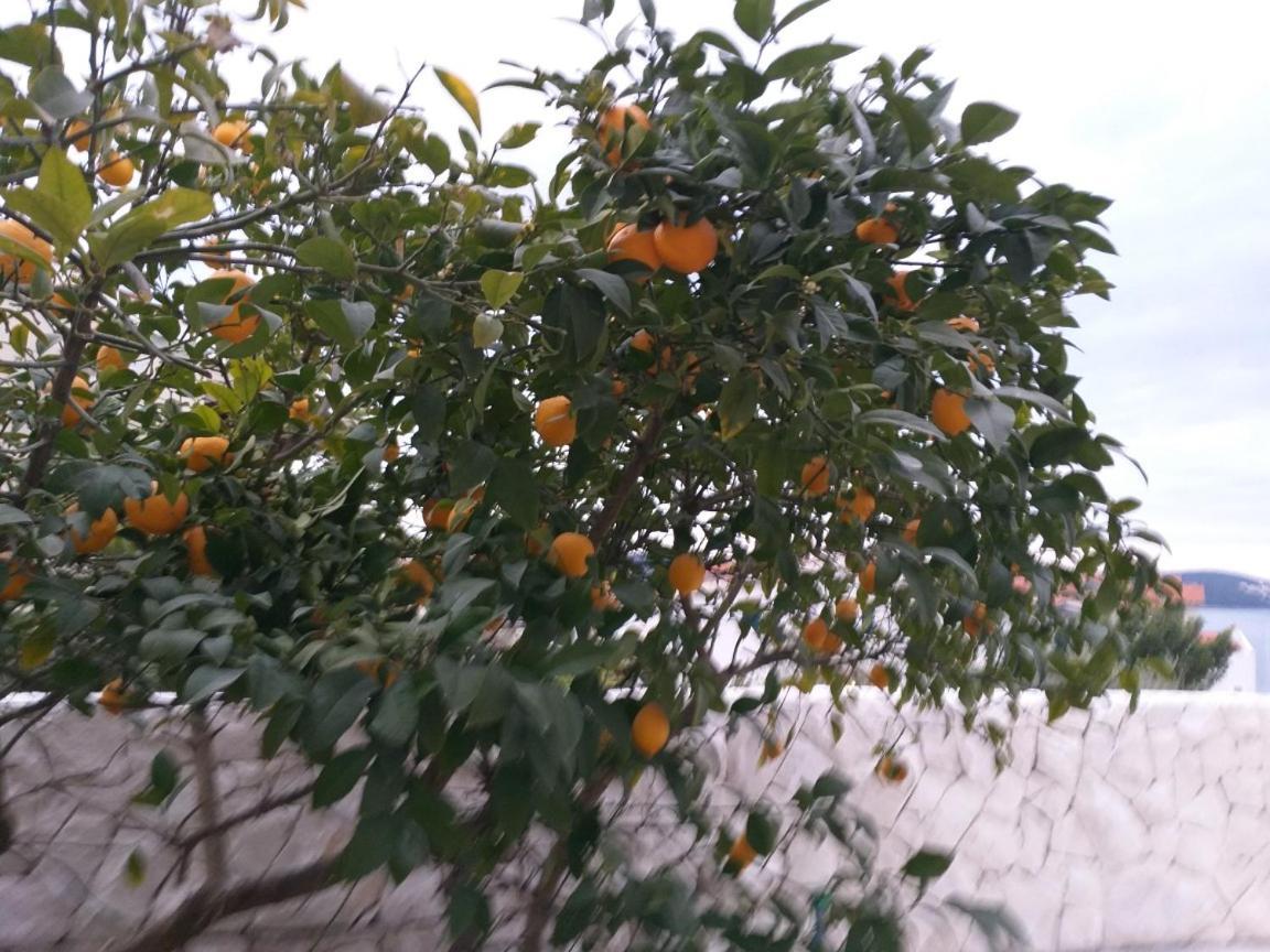 Villa Mira טרוגיר חדר תמונה